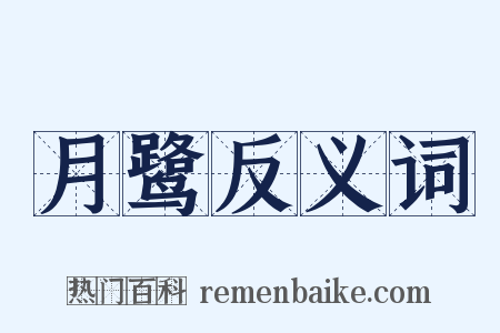 月鹭反义词是什么意思的图片